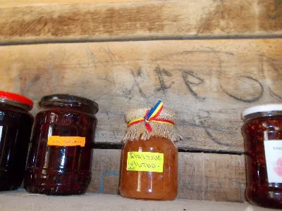 Genealogie și identitatea culturală