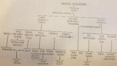 Dinastii și ramuri familiale în istoria românească