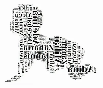 Sensul numelor de familie în alte țări și culturi