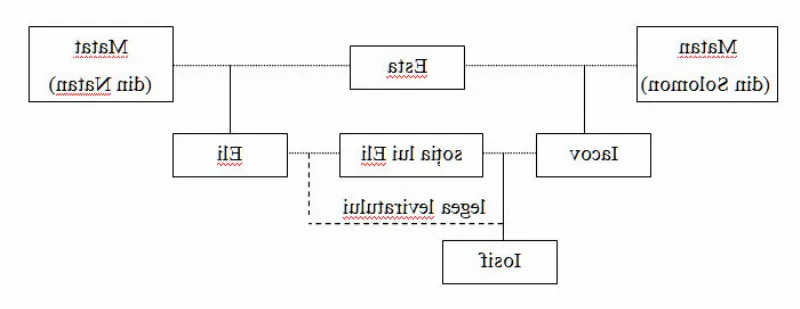 Studierea legăturii dintre genealogia și numele de familie