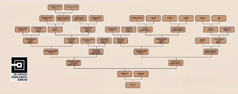 Fenomene genealogice interesante în istoria României
